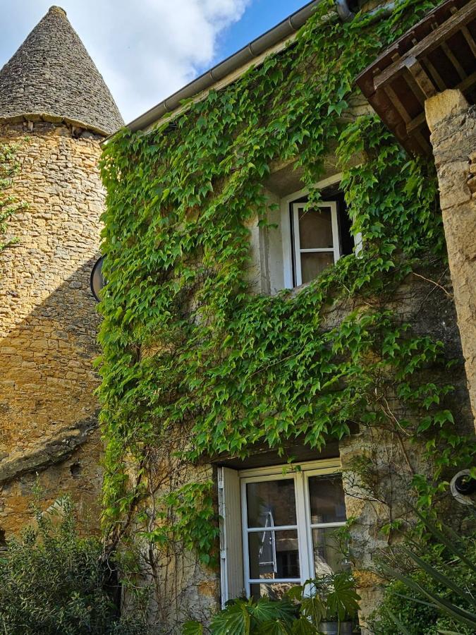 Ferienhaus Maisonnette Au Coeur De La Cite Medievale.